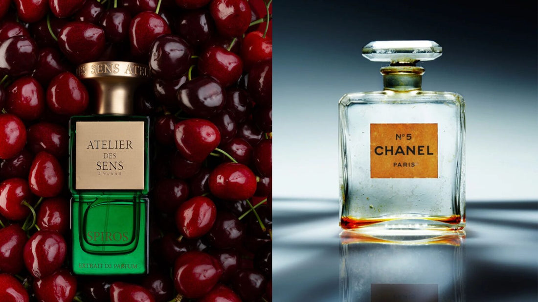 Designer vs Niche Fragrances: A Honest Price & Quality Guide [2025]
