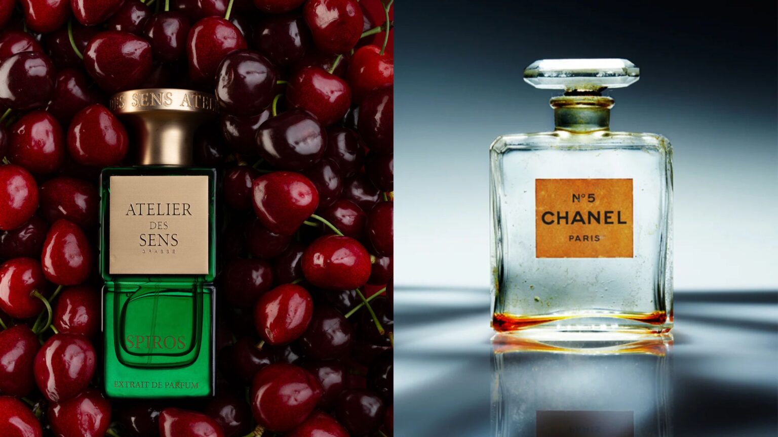 Designer vs Niche Fragrances: A Honest Price & Quality Guide [2025]