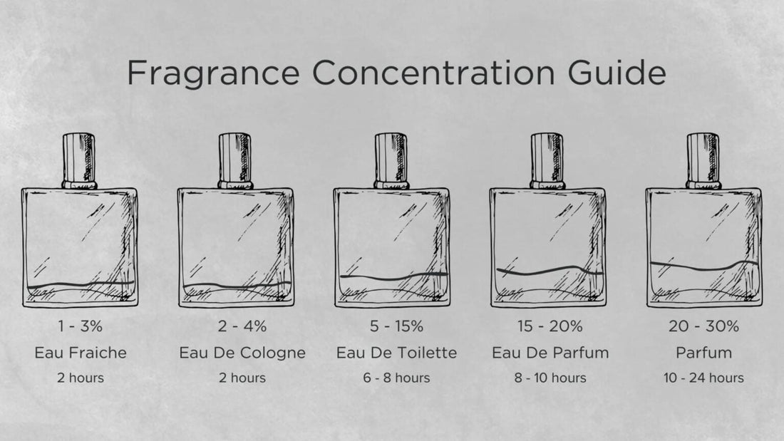 Perfume Concentrations Made Simple: Choose the Right Fragrance Every Time
