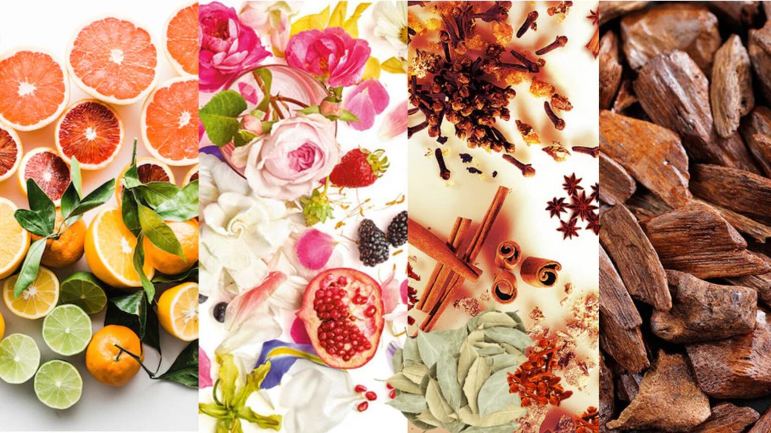 8 Most Expensive Perfume Ingredients That Cost More Than Gold in 2025