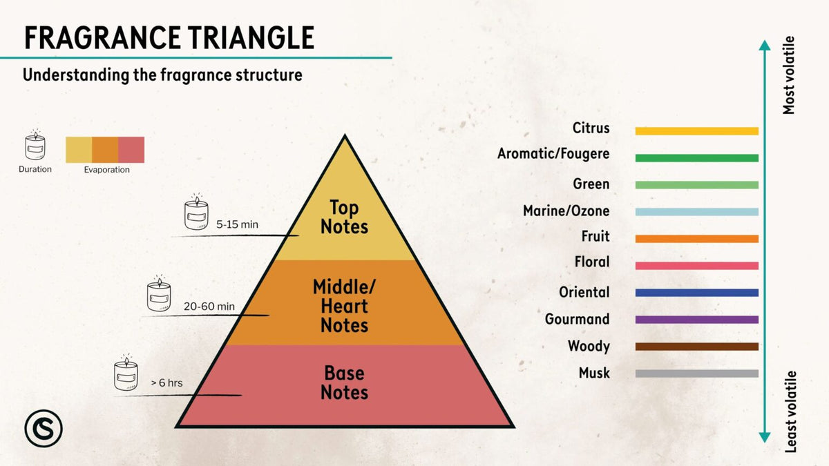 Perfume Reference Guide How to Master Perfume Fragrance Notes: A Beginner’s Guide to Scent Lay ...