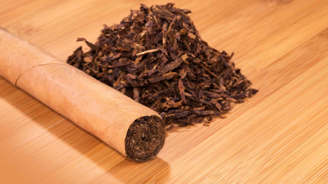 The 10 Best Tobacco Fragrances for Men