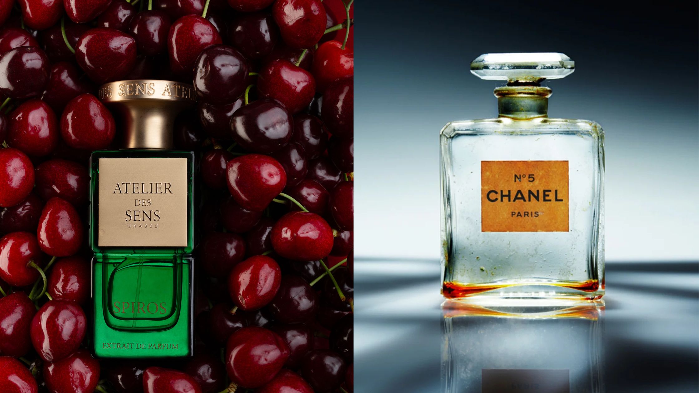 Designer vs Niche Fragrances