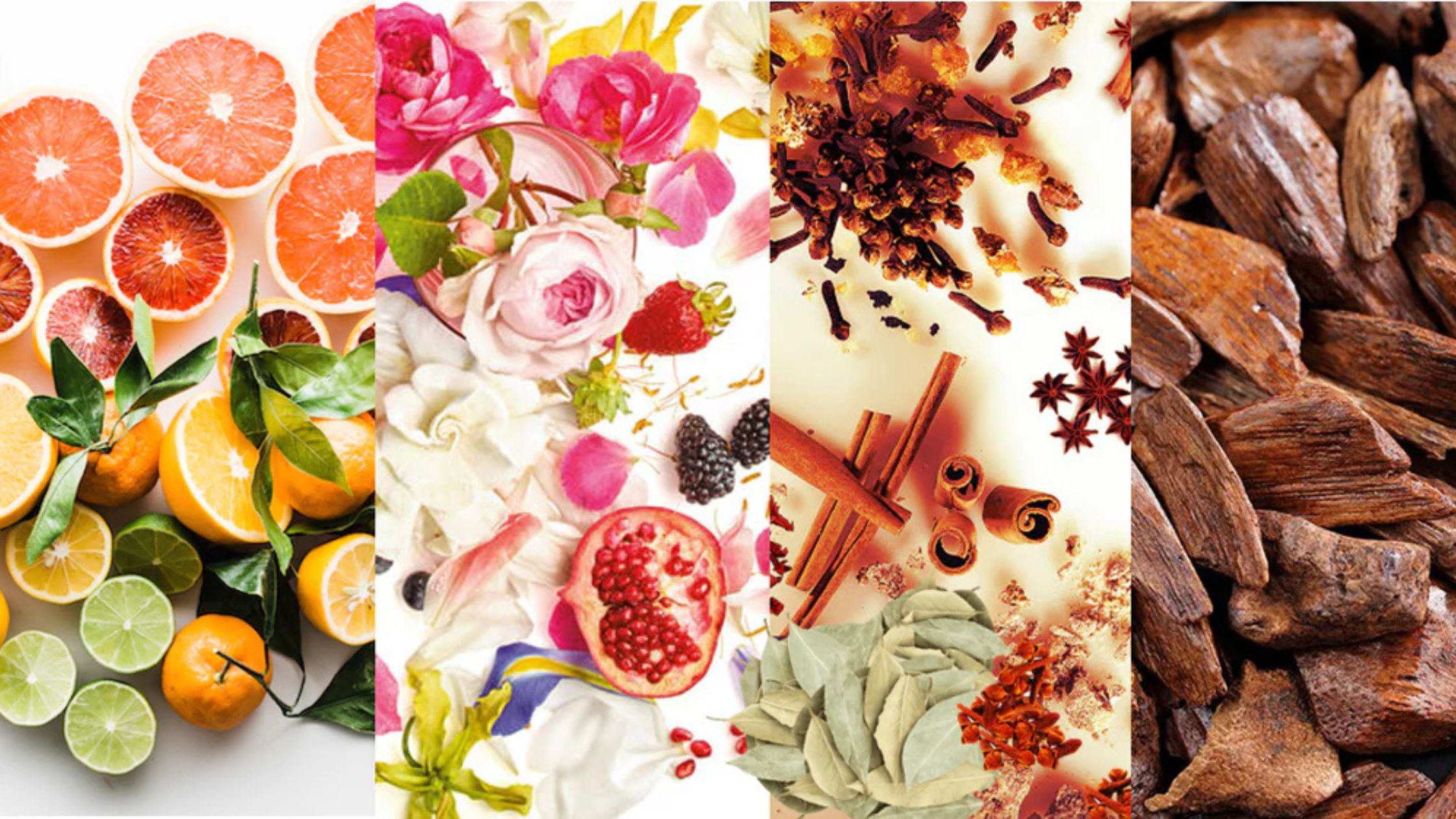 perfume ingredients